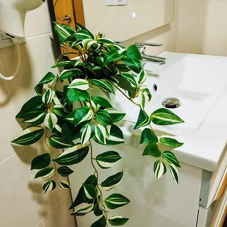 Piso Vacacional Acogedor Appartement *