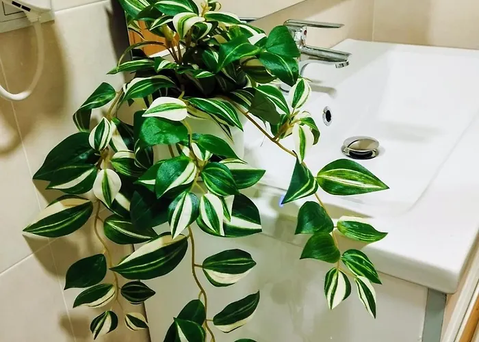 Piso Vacacional Acogedor Appartement *